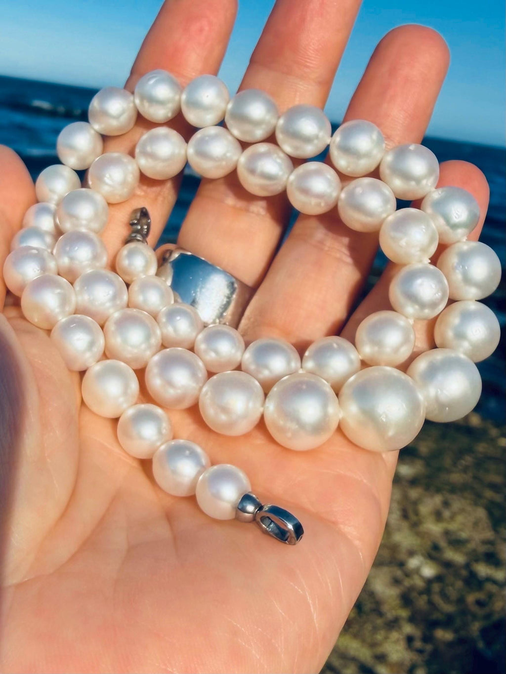 Triple-strand South Sea pearl bracelet-like necklace shown in hand with round white pearls