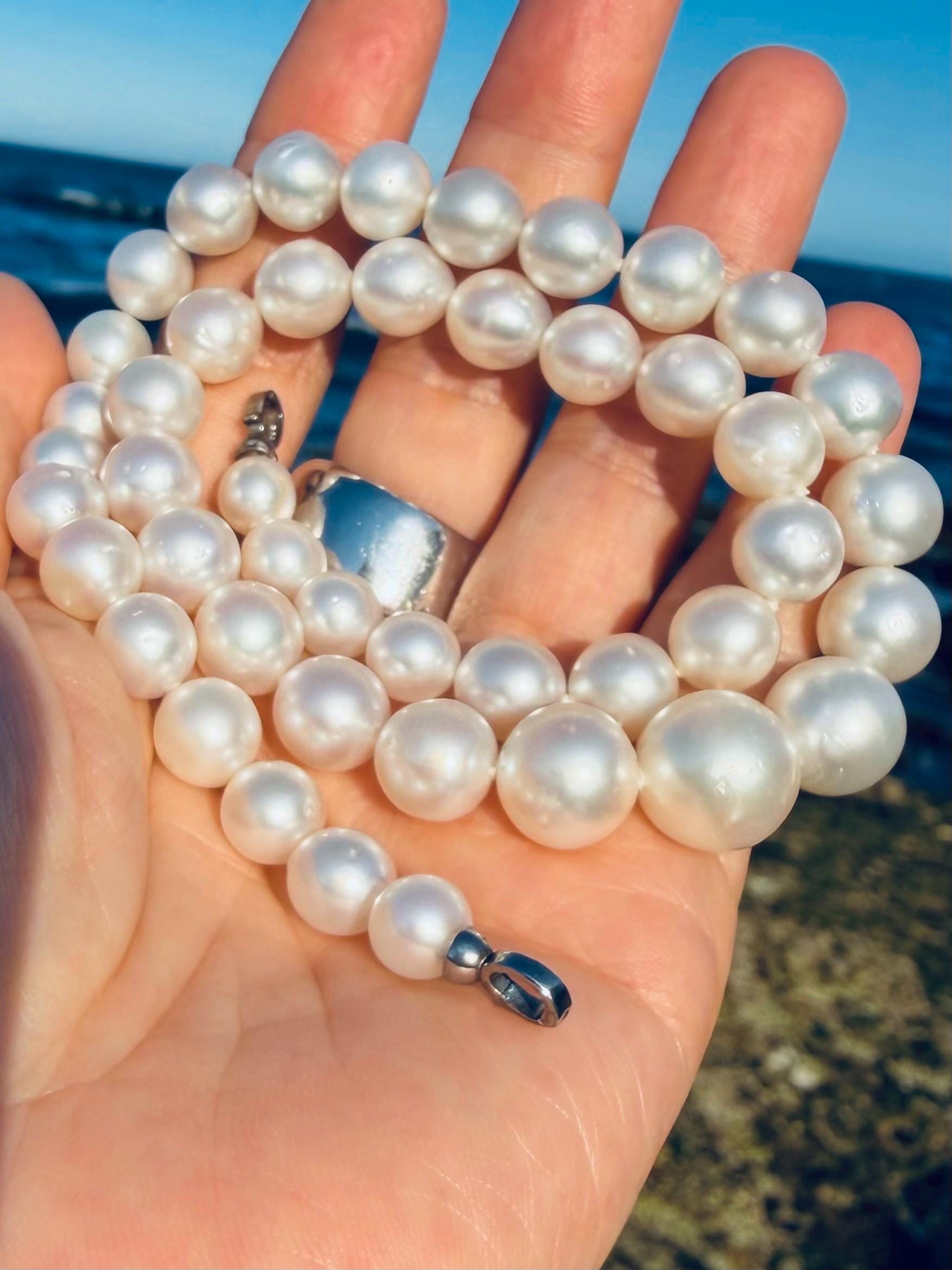Triple-strand South Sea pearl bracelet-like necklace shown in hand with round white pearls