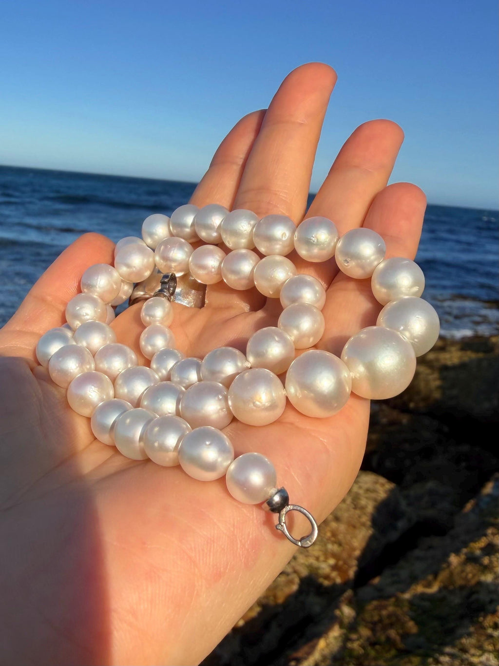 South Sea pearl necklace held in hand with large round white pearls and a lobster clasp