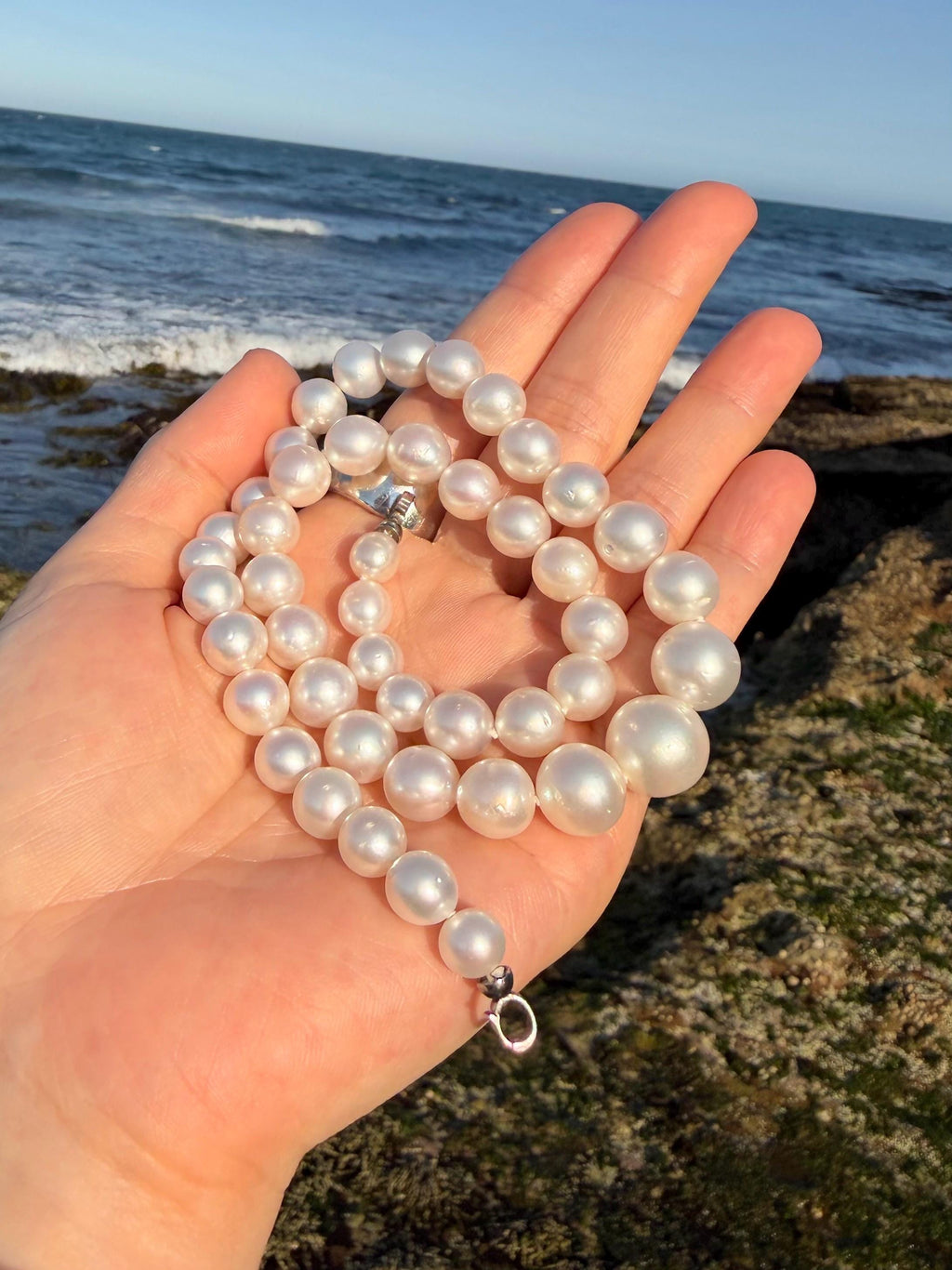 South Sea pearl necklace held in hand with layered round white pearls and silver clasp